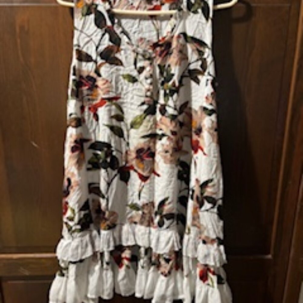 Papillon Sleeveless Floral Tiered Ruffle Mini Dress Tunic